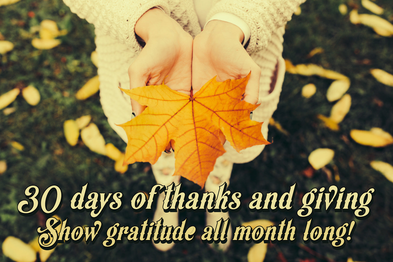 30 days of thanks and giving