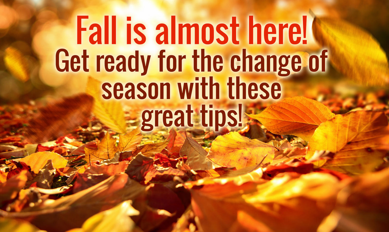 Ten Ways to Prepare Your Home for Fall