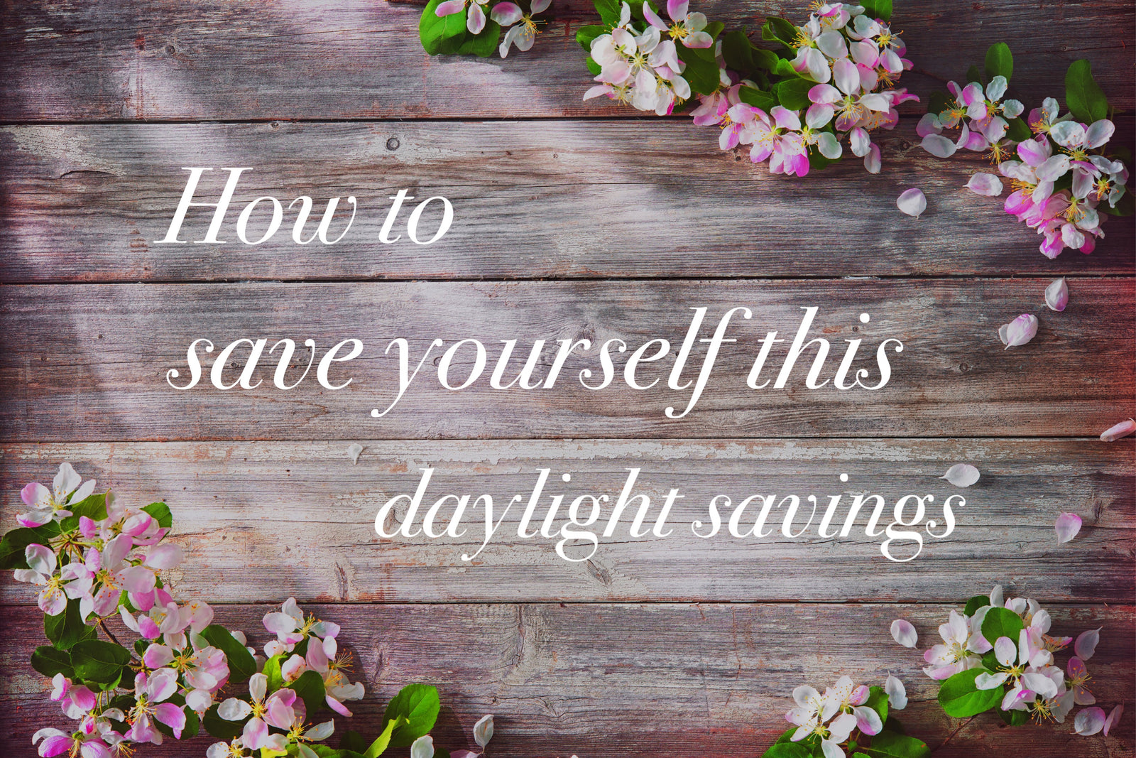 save yourself this daylight savings