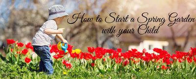 Starting a Garden with Your Toddler