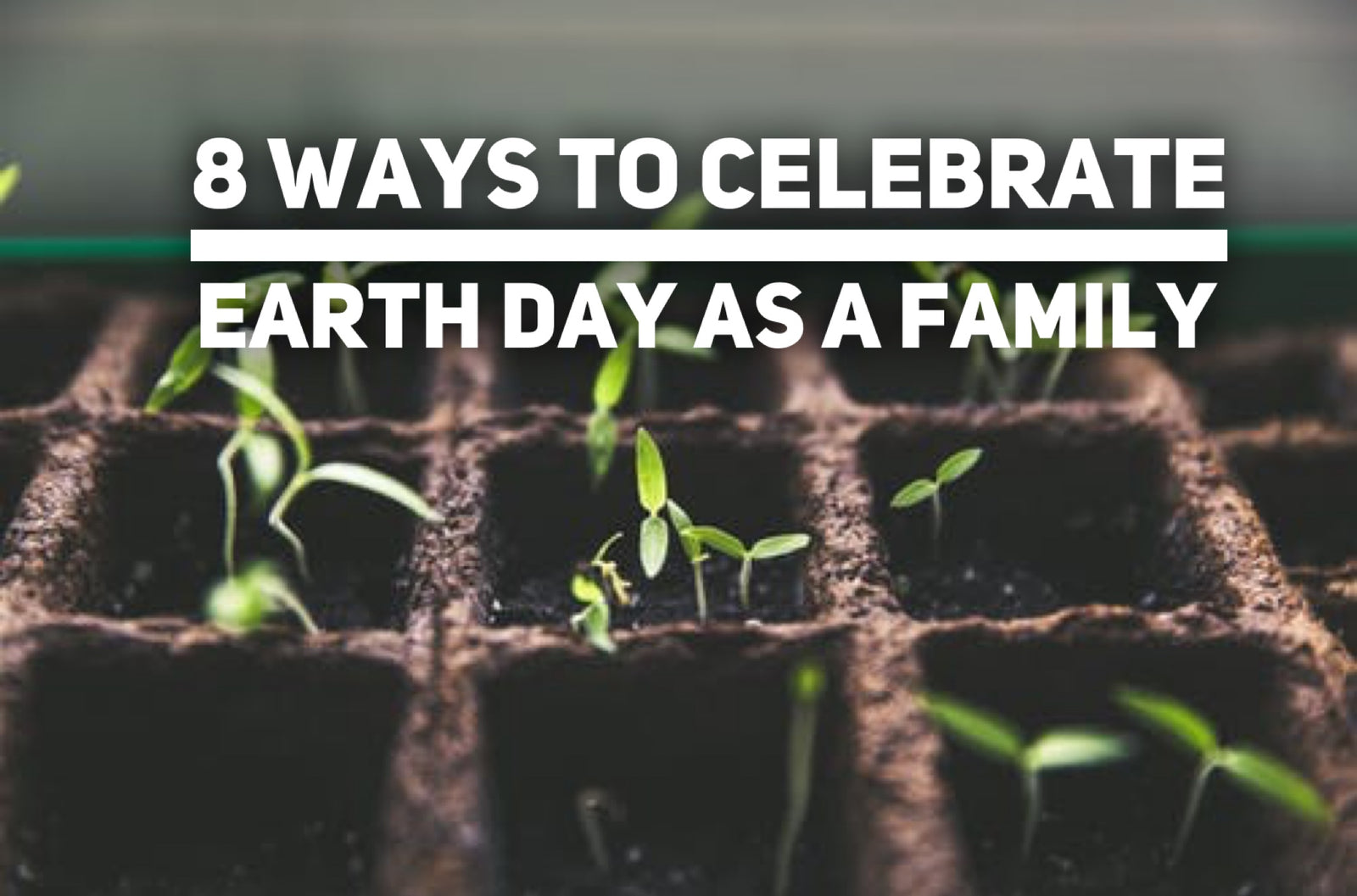earth day family activity