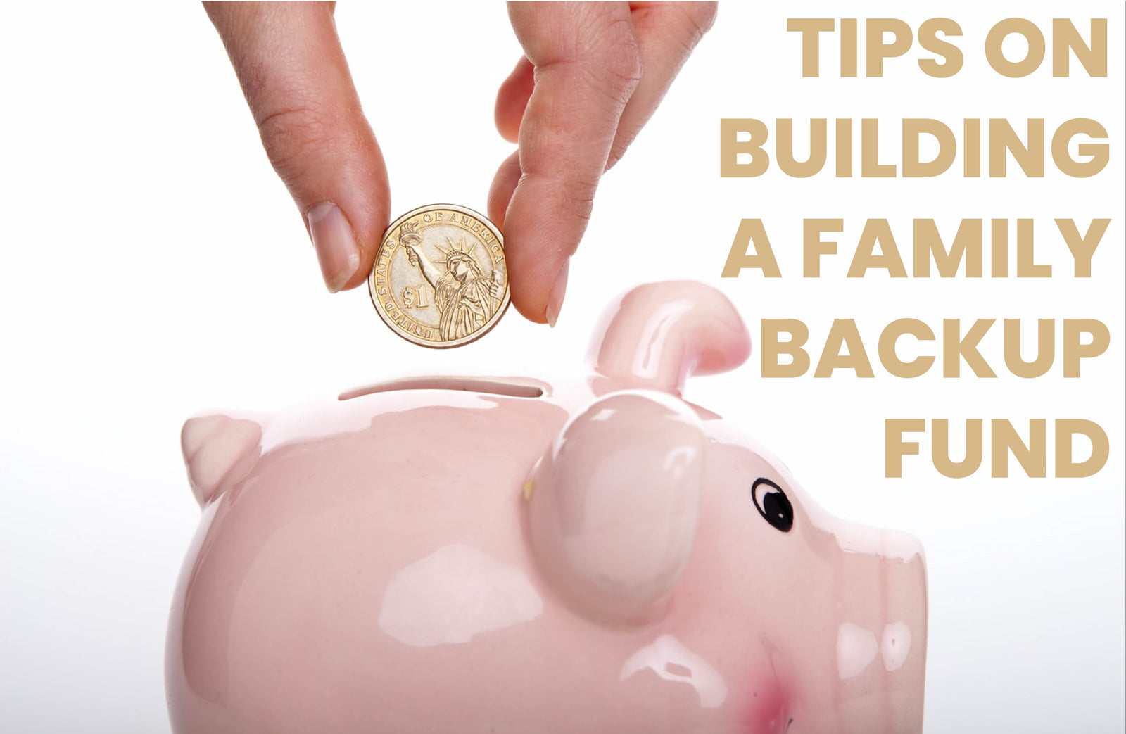 backup emergency family fund