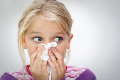 How to Treat Fall Allergies